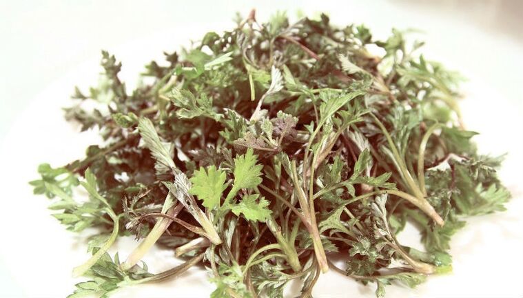 Wormwood από παράσιτα